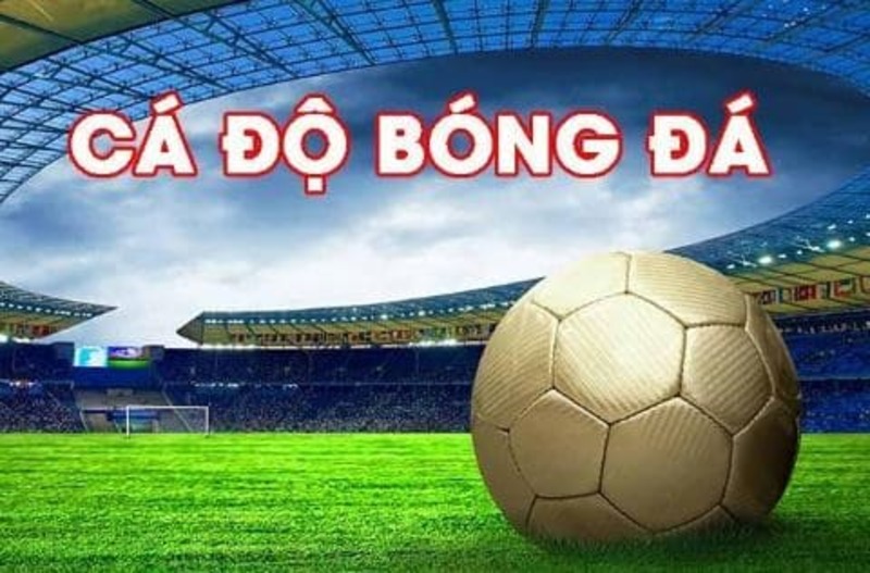 Hướng dẫn cách đọc tài xỉu ¾