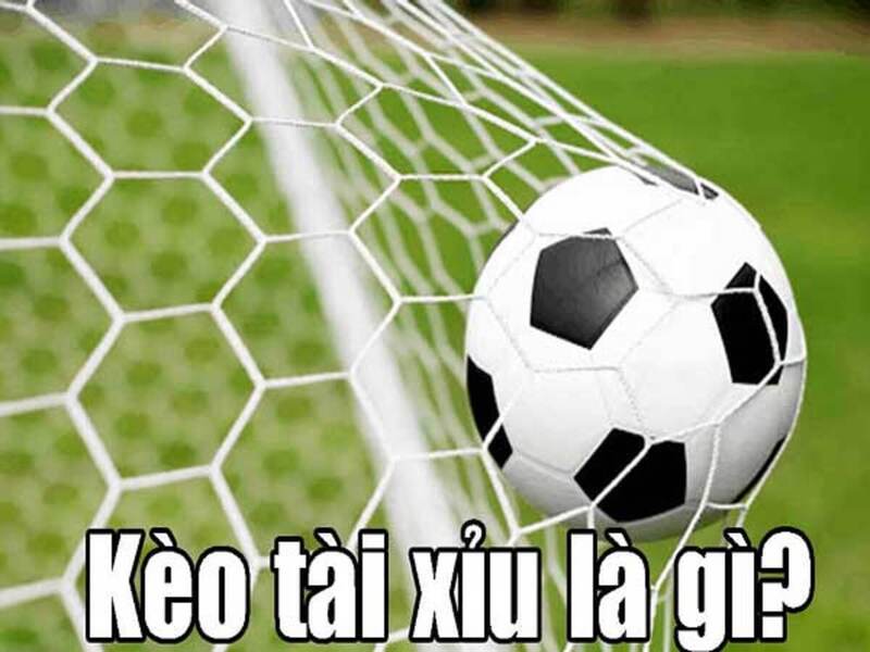 Mẹo chơi tài xỉu hiệu quả nhất